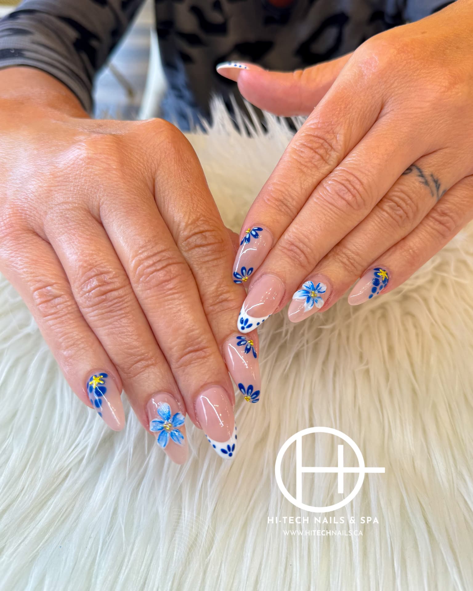Blue Daisy