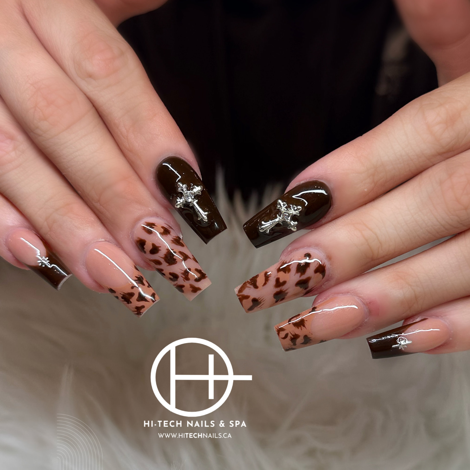 Chocolate Leopard