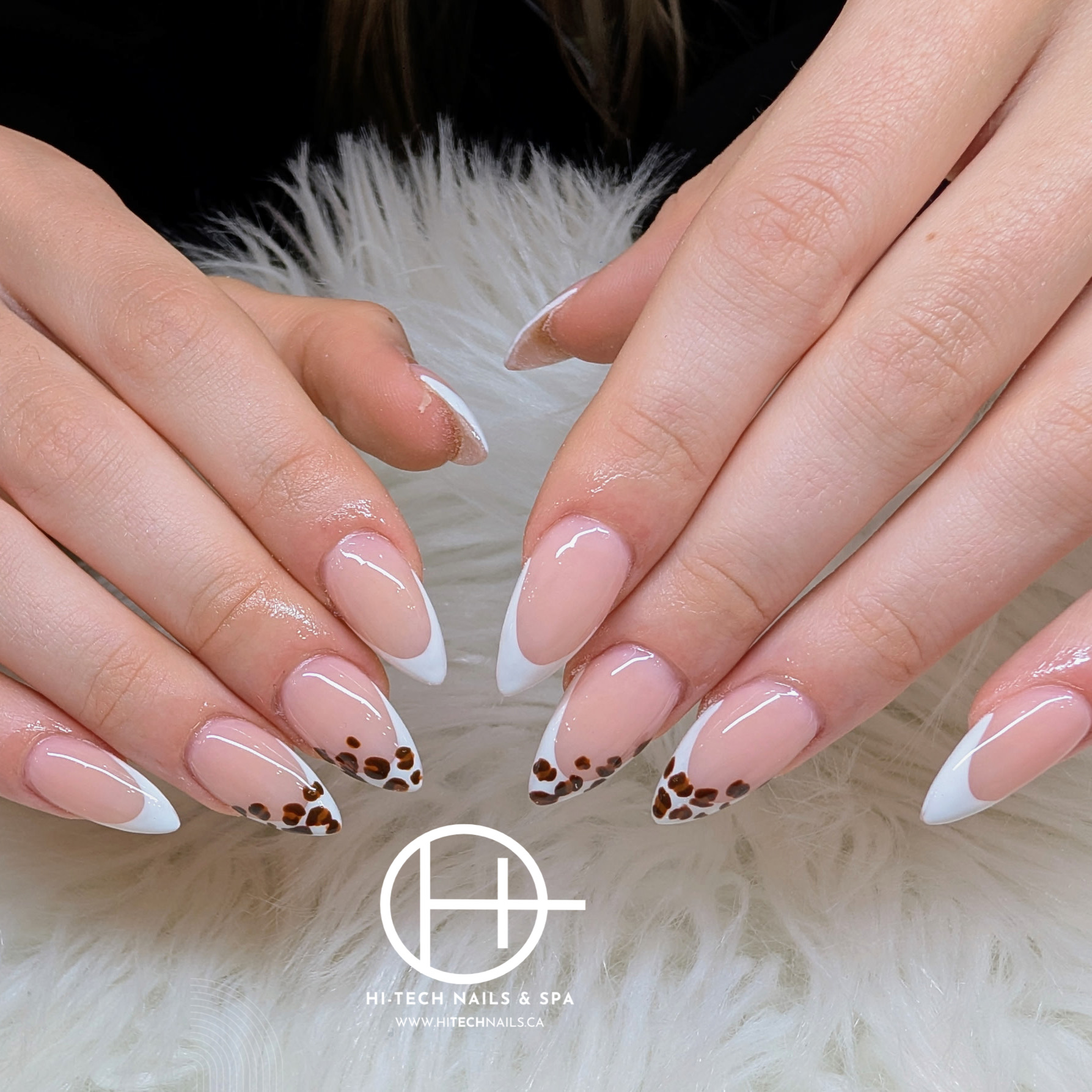 Leopard French