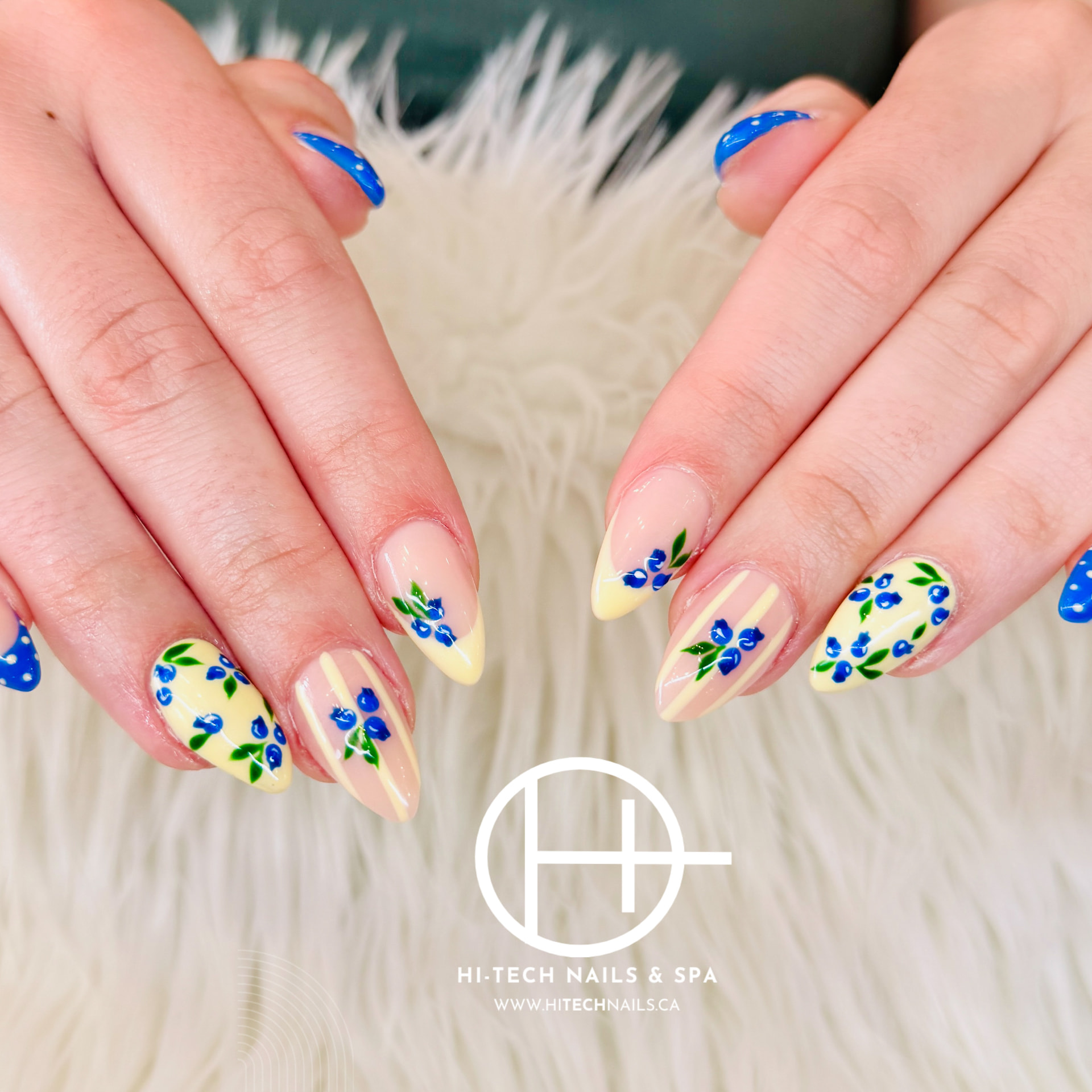 Blue Blossom