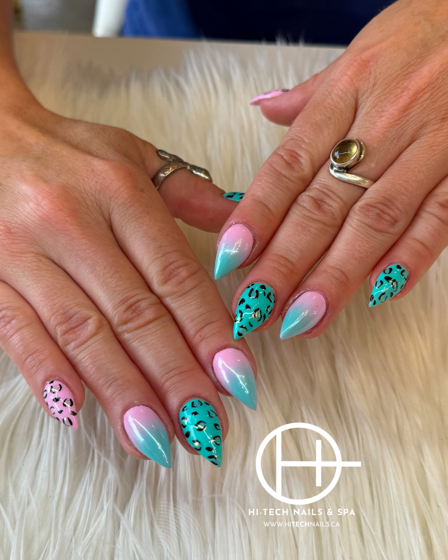Leopard Ombre
