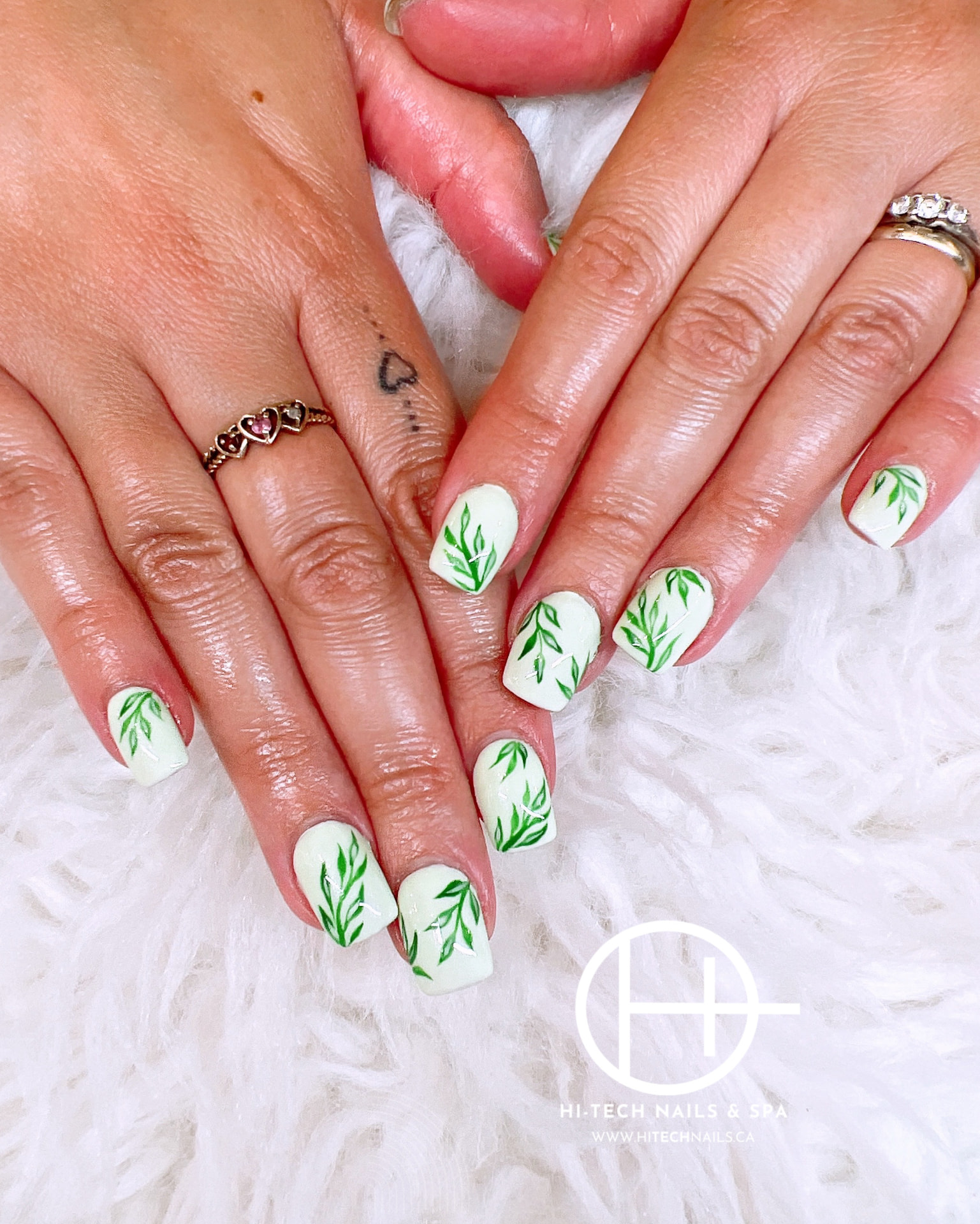 Botanical