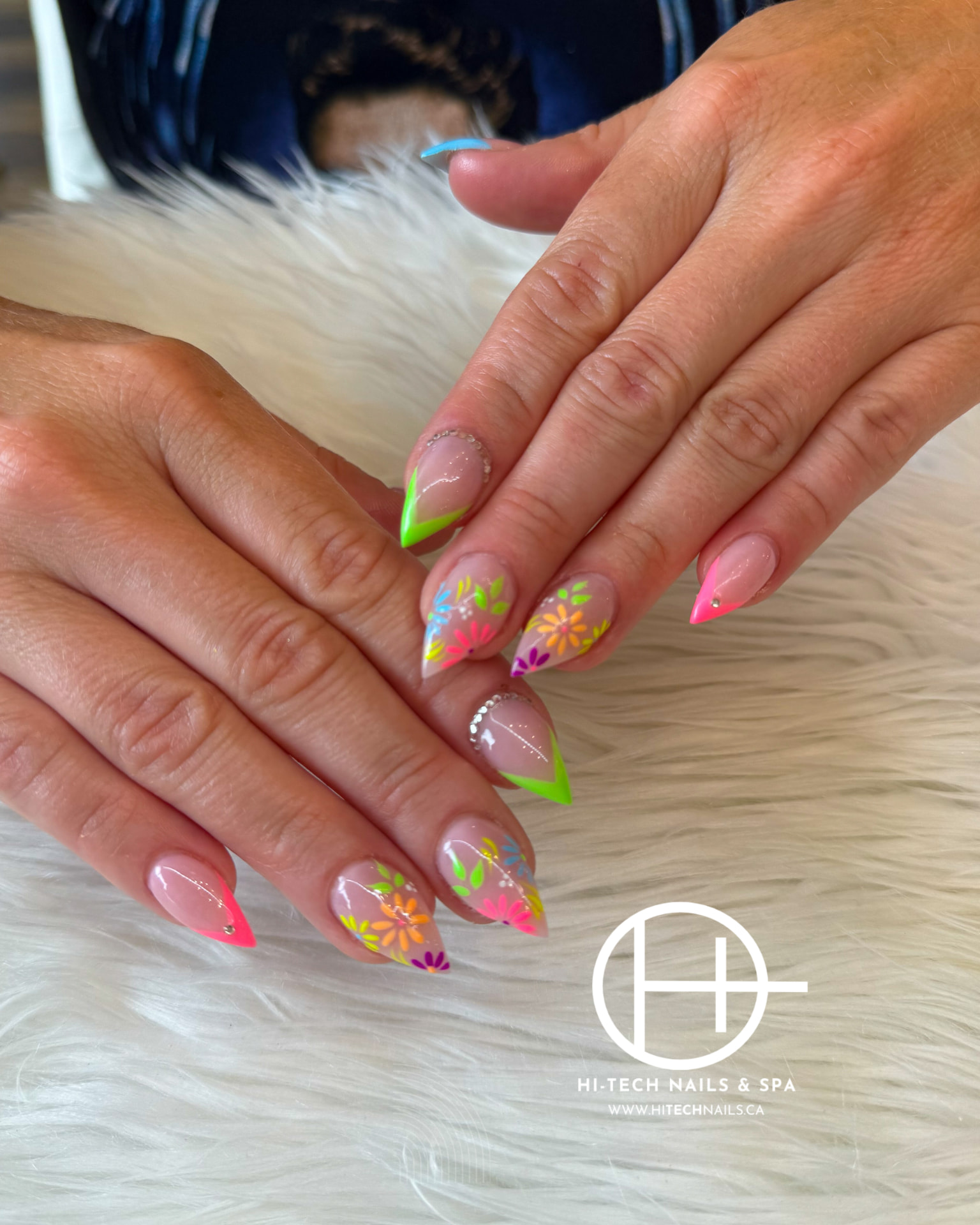 Neon Daisy
